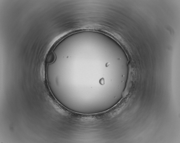 X0000112760838200909031545
