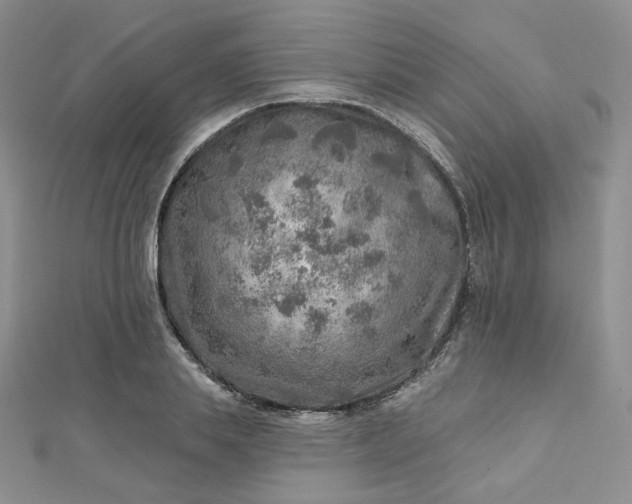 X0000112760839200909031545