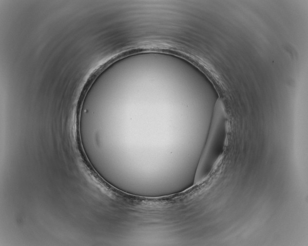 X0000112760840200909031545