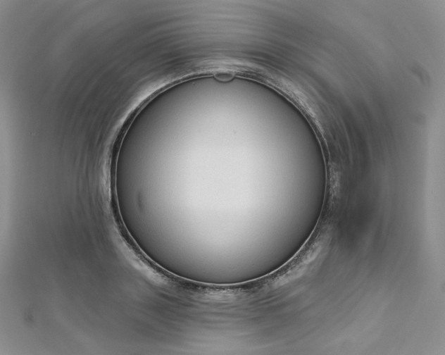 X0000112760843200909031546