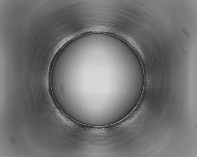 X0000112760845200909031546