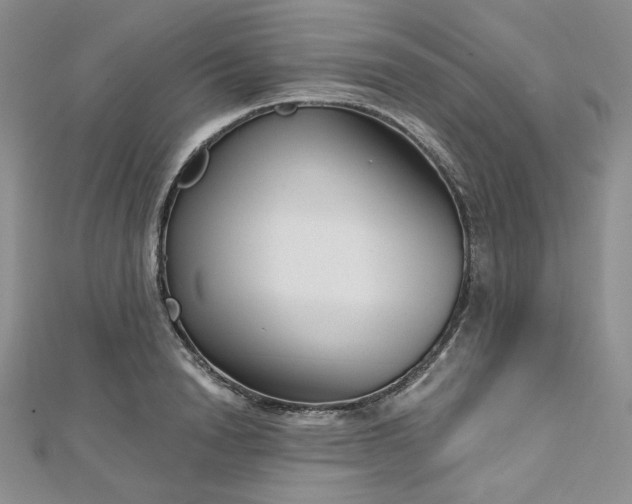 X0000112760846200909031546