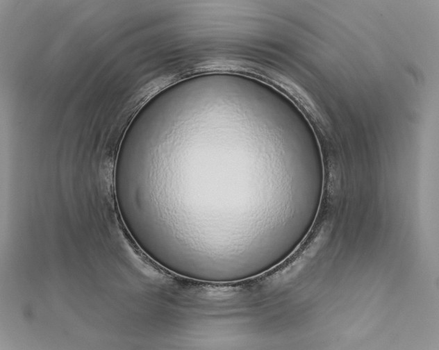 X0000112760849200909031546