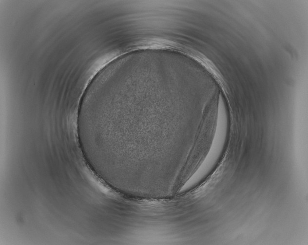 X0000112760850200909031546
