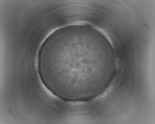 X0000112760851200909031546
