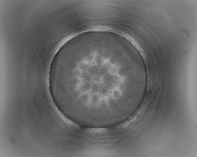 X0000112760853200909031546