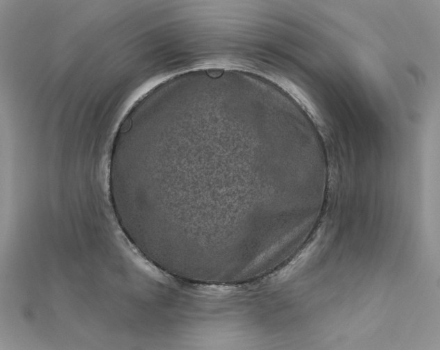 X0000112760854200909031546