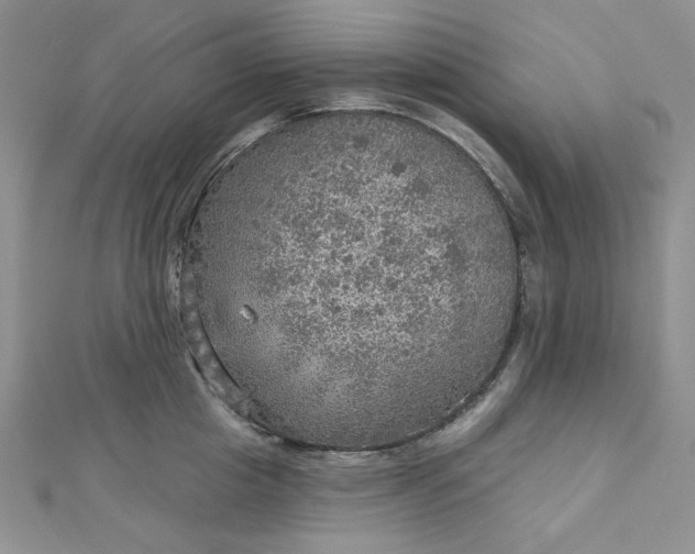 X0000112760857200909031546