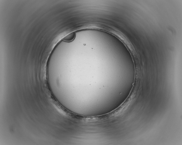 X0000112760858200909031546