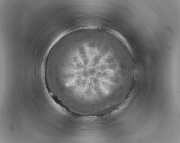X0000112760859200909031546