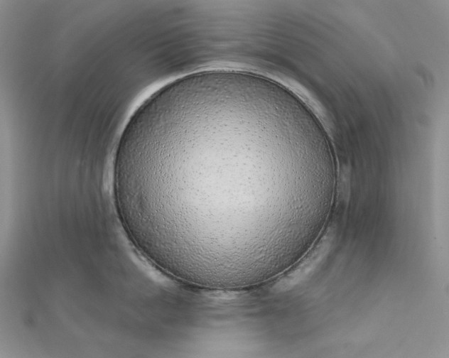 X0000112760862200909031546