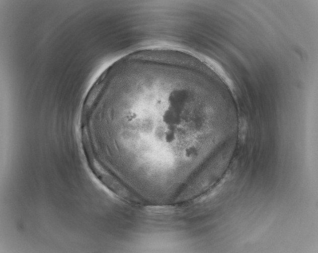 X0000112760863200909031546