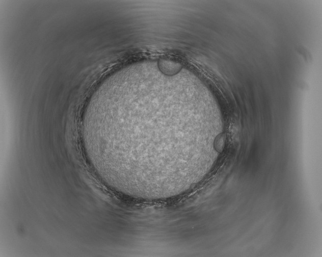 X0000112760865200909031545