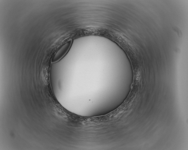 X0000112760868200909031545