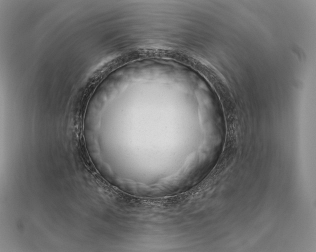 X0000112760870200909031545