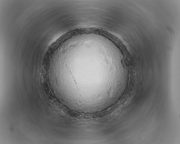 X0000112760871200909031545