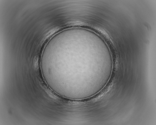 X0000112760873200909031545