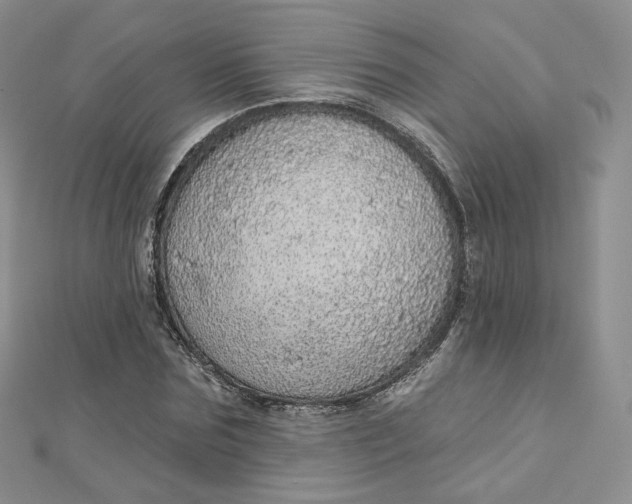 X0000112760875200909031545