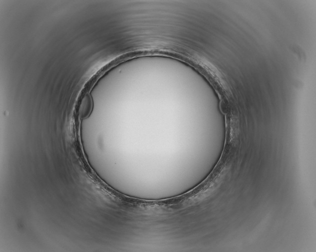 X0000112760876200909031545
