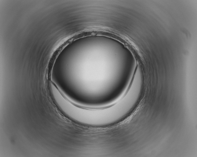 X0000112760877200909031545