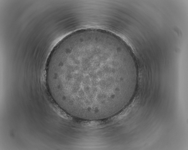 X0000112760879200909031545