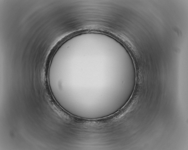 X0000112760880200909031545