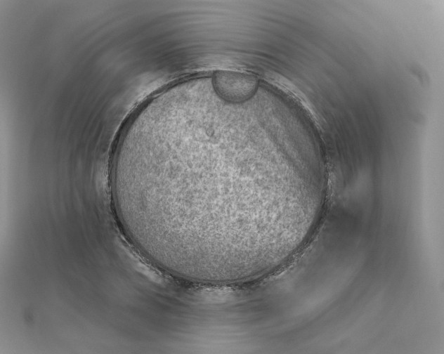 X0000112760882200909031545