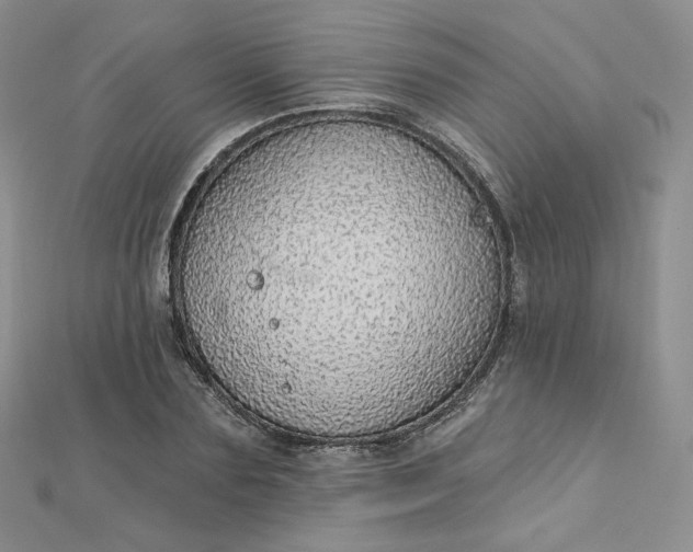 X0000112760883200909031545