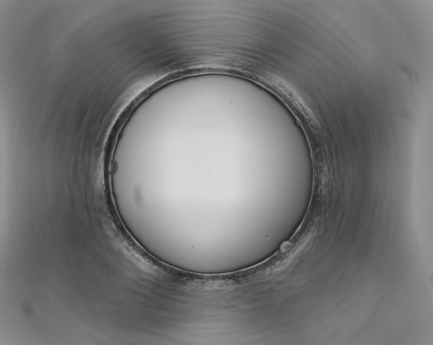X0000112760884200909031545