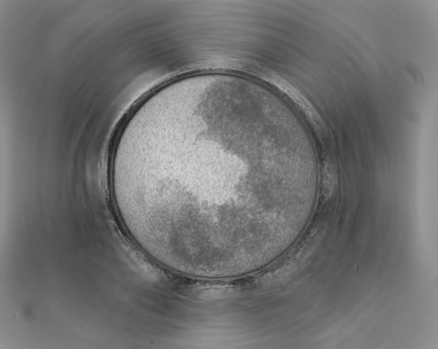 X0000112760886200909031545