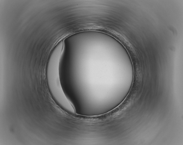 X0000112760889200909031545