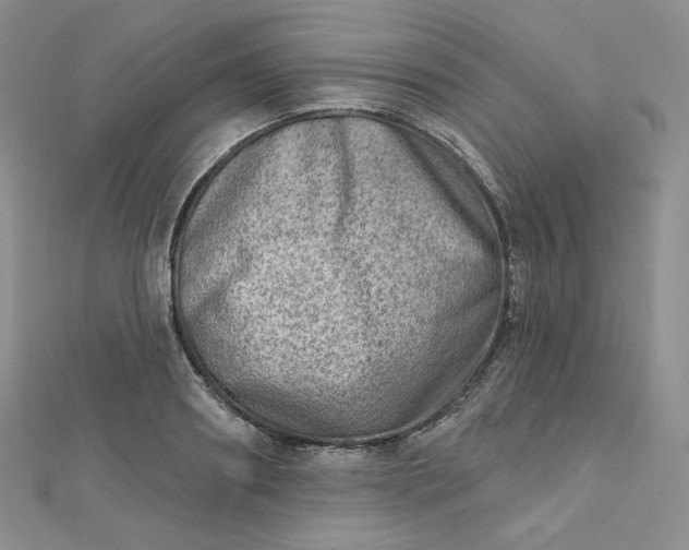 X0000112760890200909031545