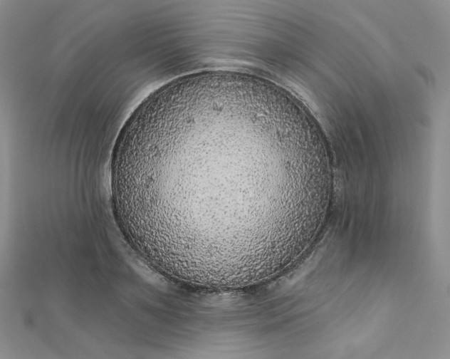 X0000112760891200909031545