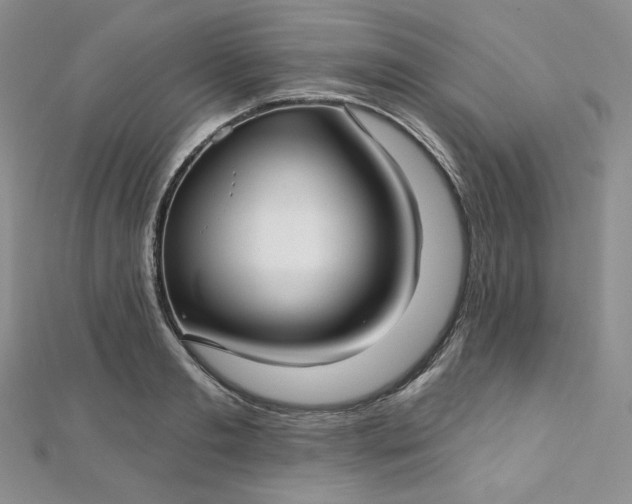 X0000112760893200909031545