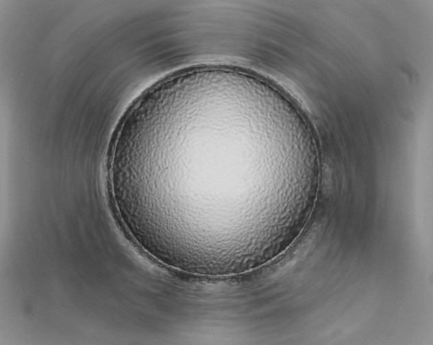 X0000112760895200909031545