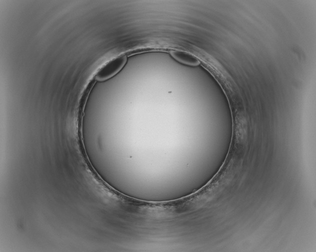 X0000112760896200909031545