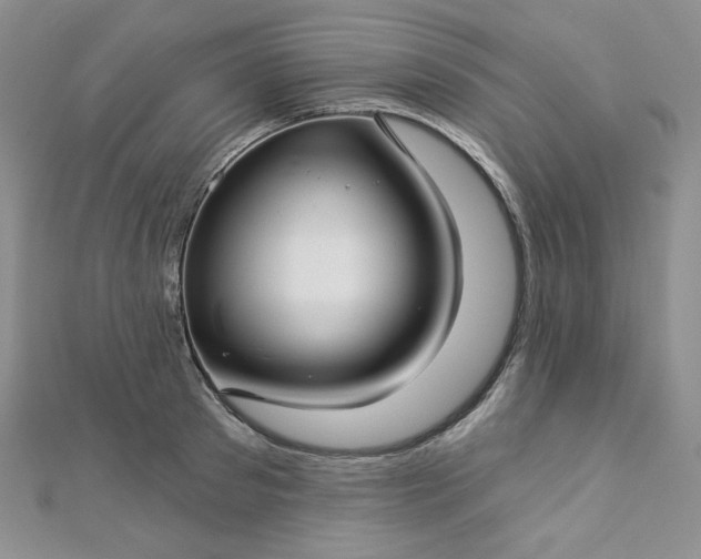 X0000112760897200909031545