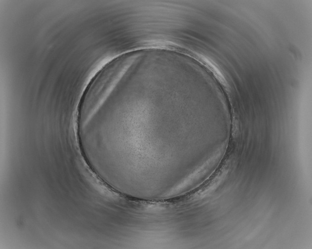 X0000112760899200909031545
