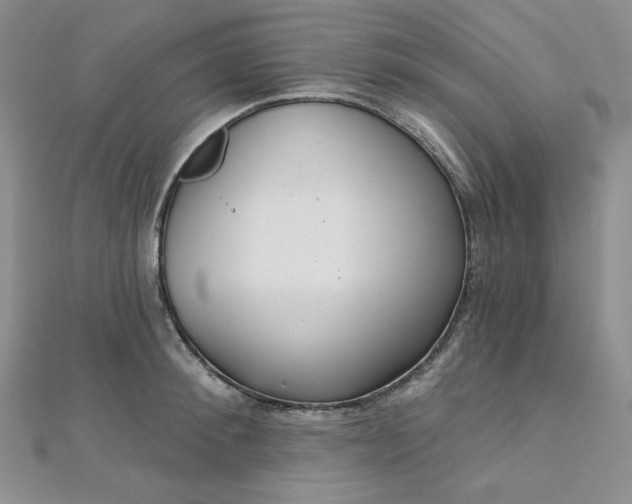 X0000112760900200909031545