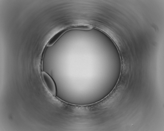 X0000112760901200909031545