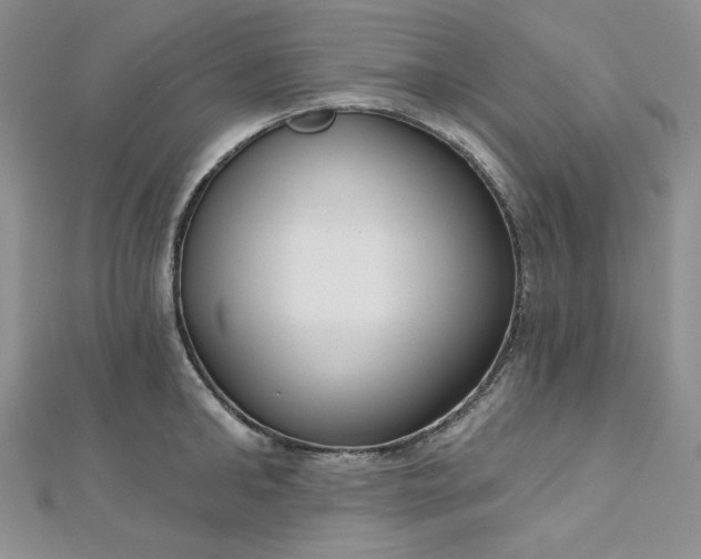 X0000112760902200909031545