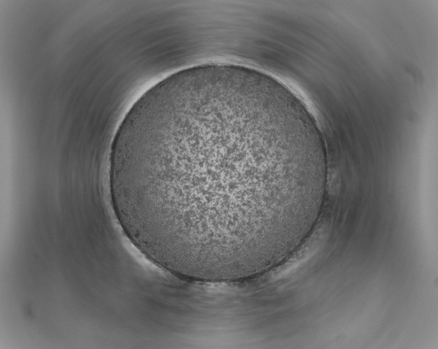 X0000112760903200909031545