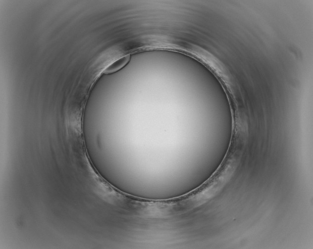 X0000112760905200909031545