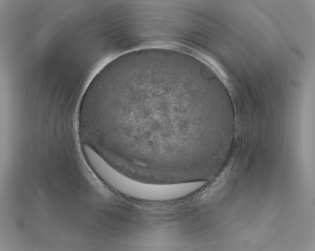 X0000112760907200909031545
