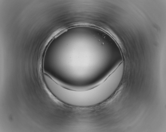 X0000112760909200909031545