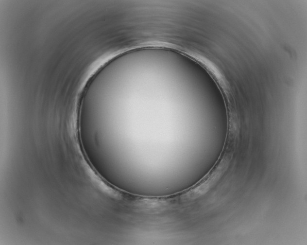 X0000112760910200909031545