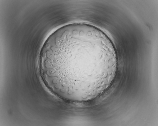 X0000112760911200909031545
