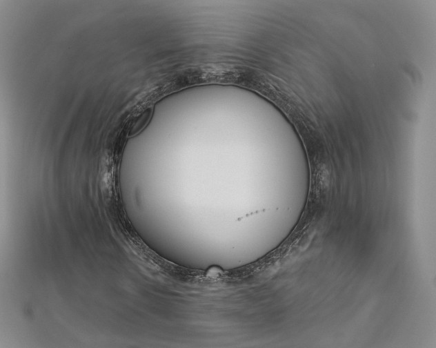X0000112760914200909031544