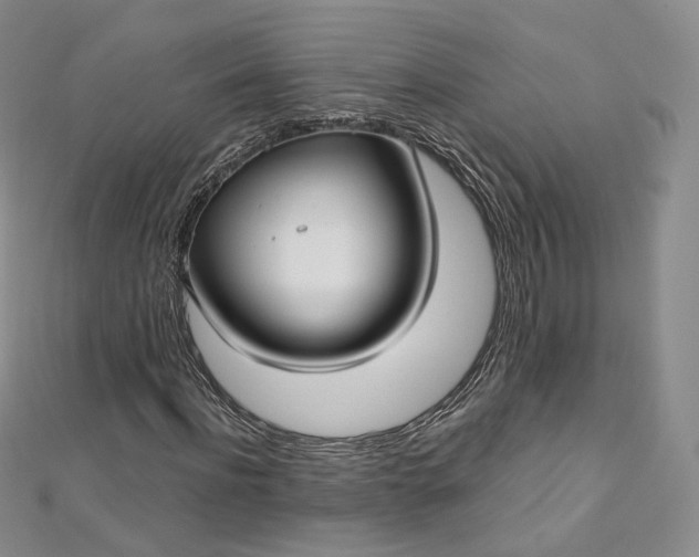 X0000112760916200909031544