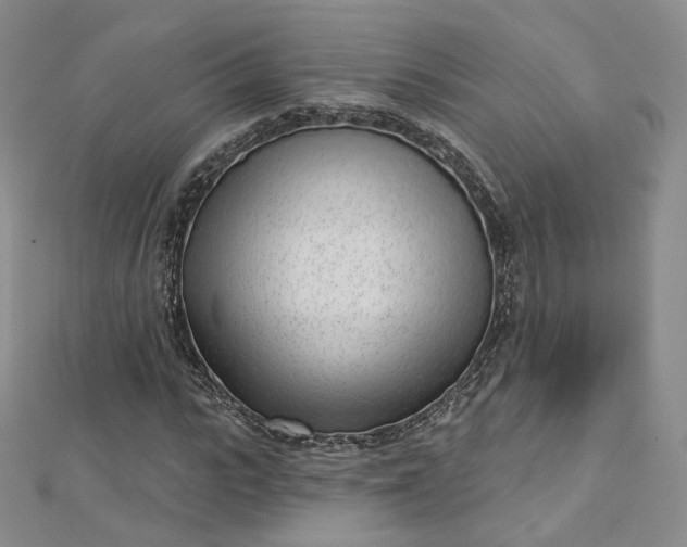 X0000112760919200909031544